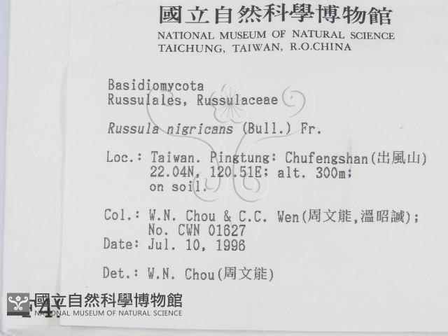 登錄號:F0004970藏品圖，第2張