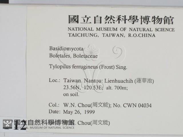 登錄號:F0012970藏品圖，第2張