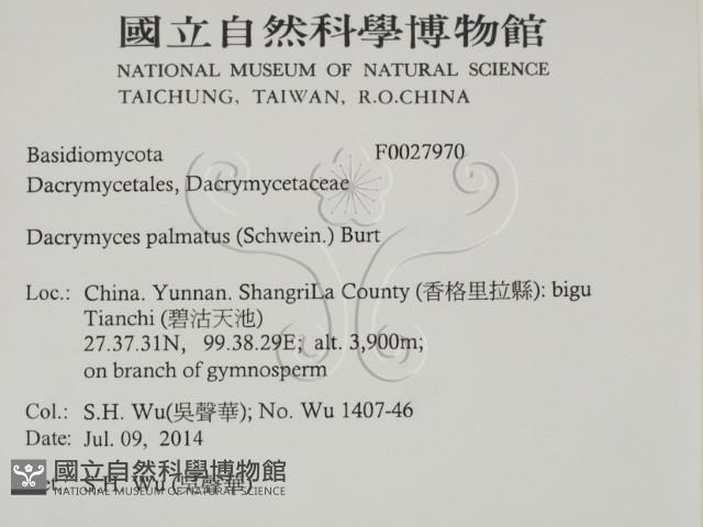 登錄號:F0027970藏品圖，第2張