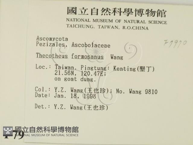 登錄號:F0007970藏品圖，第2張