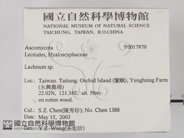 登錄號:F0017970藏品圖，第2張