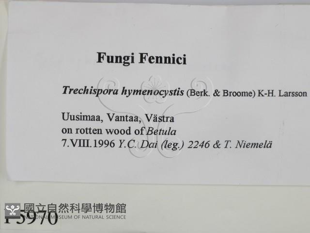 登錄號:F0005970藏品圖，第2張