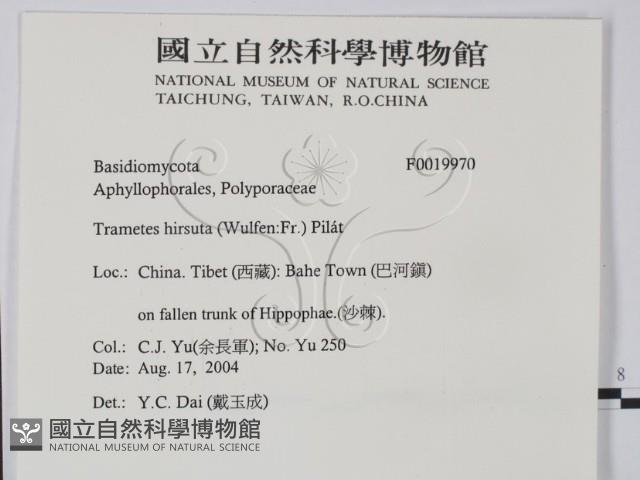 登錄號:F0019970藏品圖，第2張