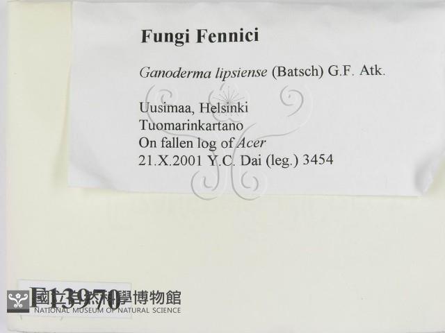 登錄號:F0013970藏品圖，第2張