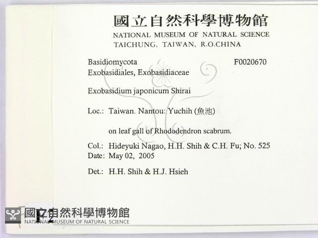 館號:F0020670藏品圖，第2張