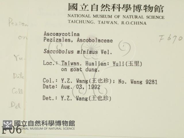 館號:F0000670藏品圖，第2張