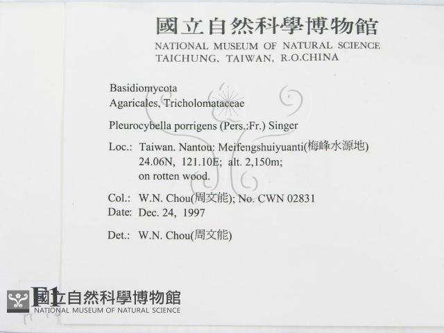 登錄號:F0010670藏品圖，第2張