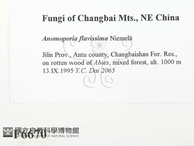 登錄號:F0006670藏品圖，第2張