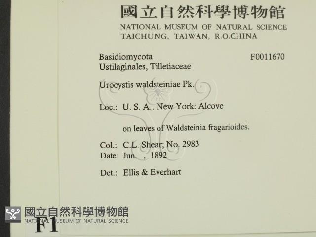 登錄號:F0011670藏品圖，第2張