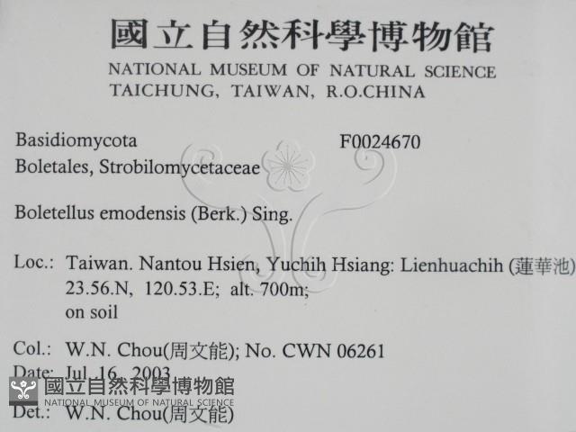 登錄號:F0024670藏品圖，第2張