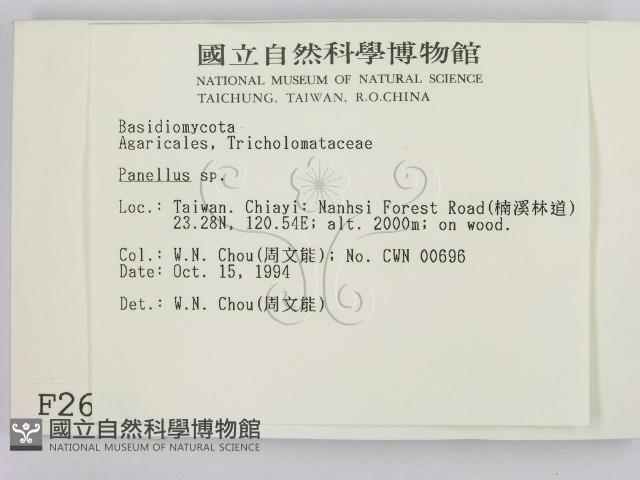 登錄號:F0002670藏品圖，第2張