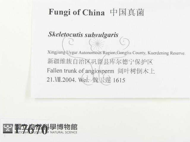 登錄號:F0017670藏品圖，第2張