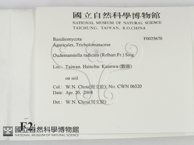 登錄號:F0025670藏品圖，第2張