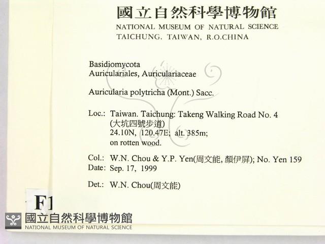 毛木耳藏品圖，第2張