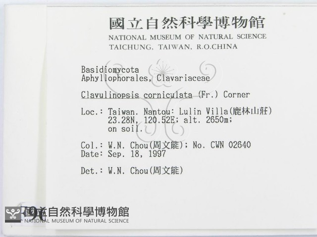 登錄號:F0009670藏品圖，第2張