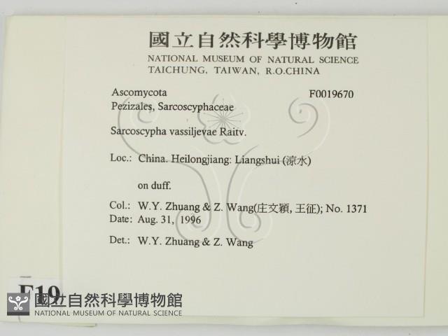 登錄號:F0019670藏品圖，第2張