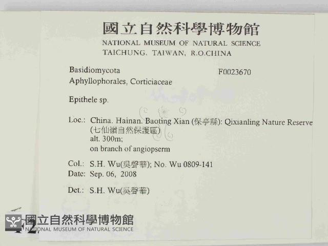 登錄號:F0023670藏品圖，第2張