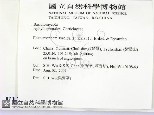 登錄號:F0013670藏品圖，第2張