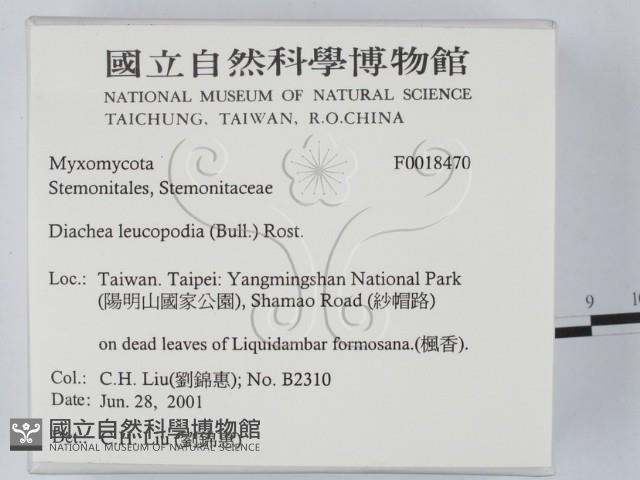 登錄號:F0018470藏品圖，第2張