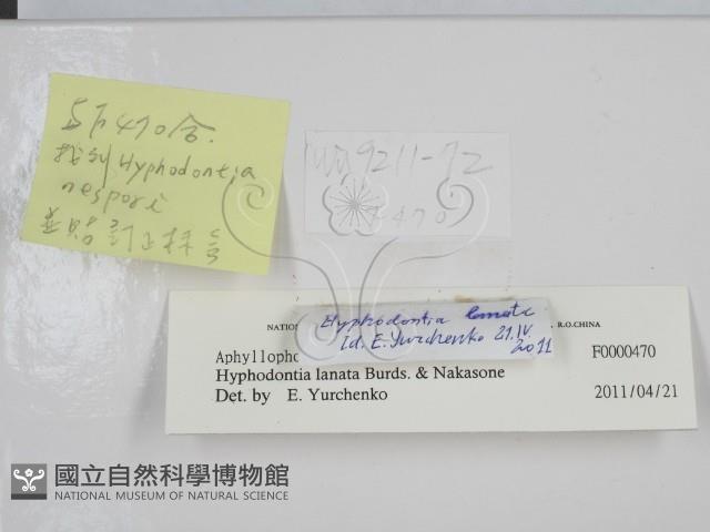 登錄號:F0000470藏品圖，第2張