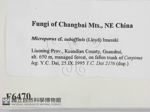 登錄號:F0006470藏品圖，第2張