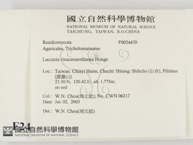 登錄號:F0024470藏品圖，第2張