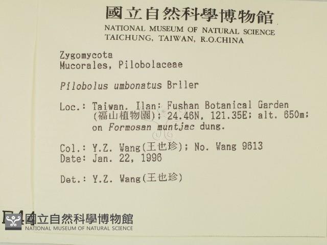 登錄號:F0004470藏品圖，第2張