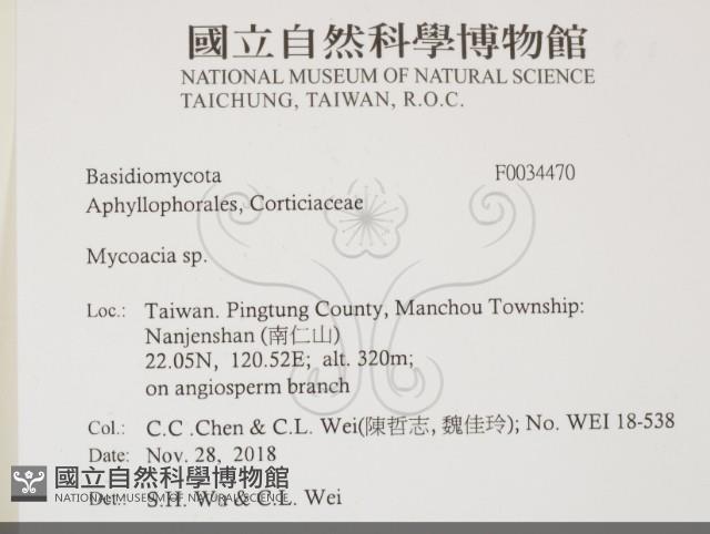 登錄號:F0034470藏品圖，第2張