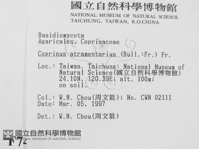 登錄號:F0007470藏品圖，第2張