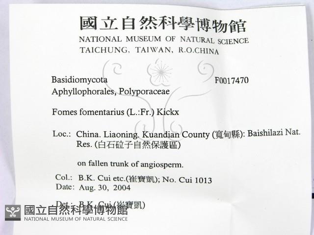 登錄號:F0017470藏品圖，第2張