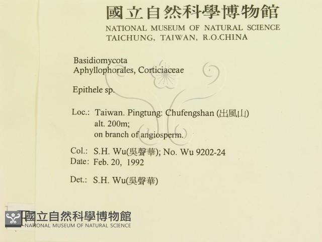 登錄號:F0015470藏品圖，第2張