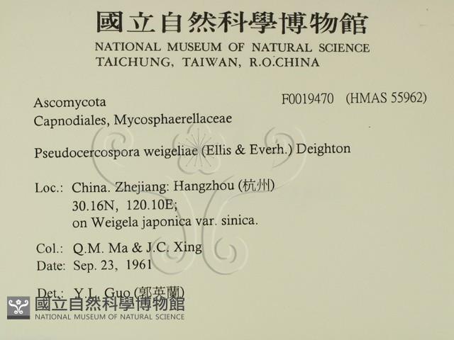 登錄號:F0019470藏品圖，第2張