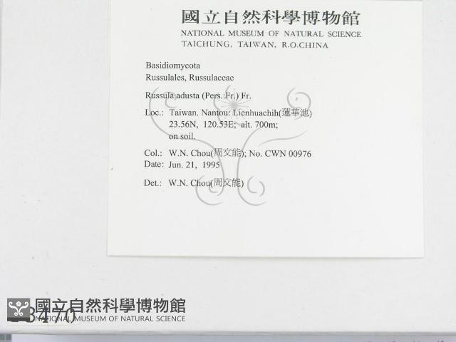 Accession Number:F0003470 Collection Image, Figure 2, Total 4 Figures