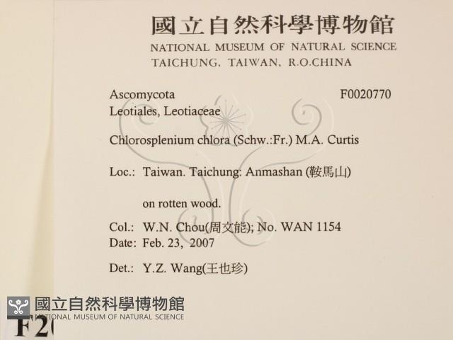 登錄號:F0020770藏品圖，第2張