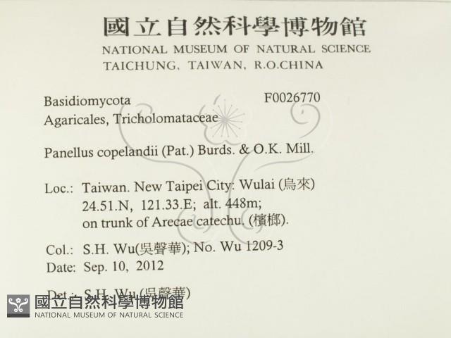 登錄號:F0026770藏品圖，第2張