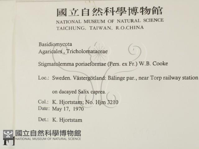 登錄號:F0016770藏品圖，第2張