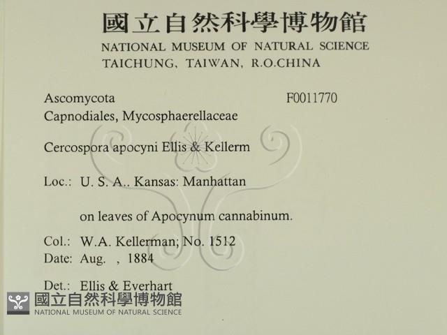 登錄號:F0011770藏品圖，第2張