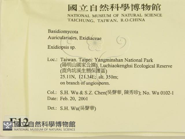登錄號:F0012770藏品圖，第2張