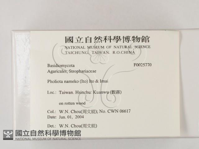 登錄號:F0025770藏品圖，第2張