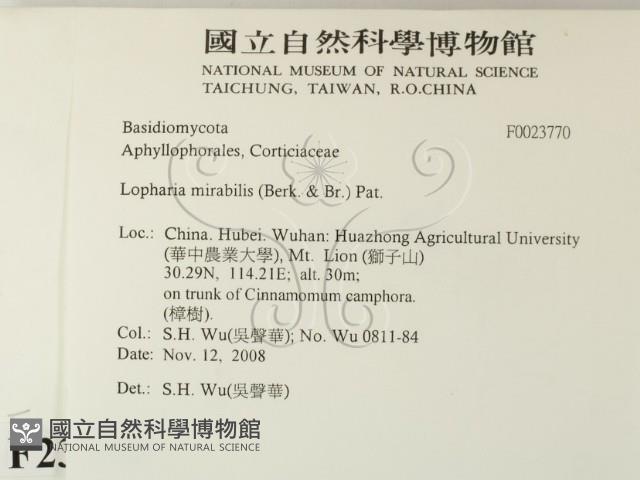 登錄號:F0023770藏品圖，第2張