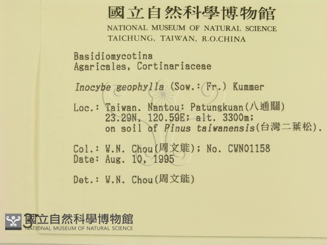 登錄號:F0003770藏品圖，第2張