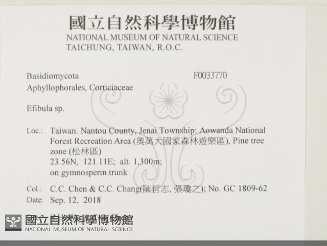 登錄號:F0033770藏品圖，第2張