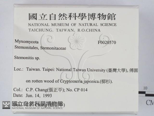 登錄號:F0020570藏品圖，第2張