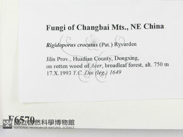 登錄號:F0006570藏品圖，第2張