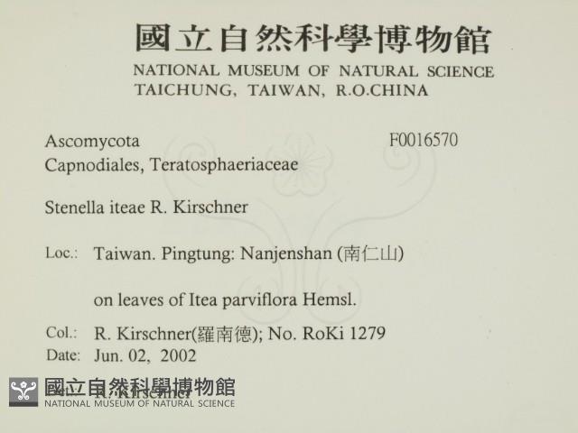 登錄號:F0016570藏品圖，第2張