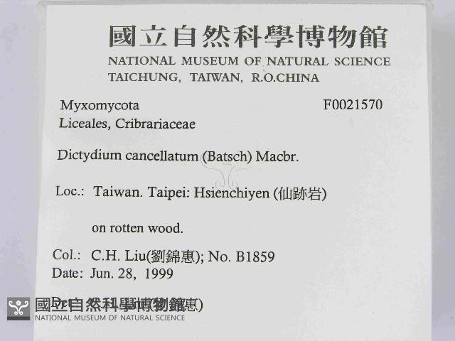 登錄號:F0021570藏品圖，第2張
