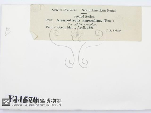 登錄號:F0011570藏品圖，第2張