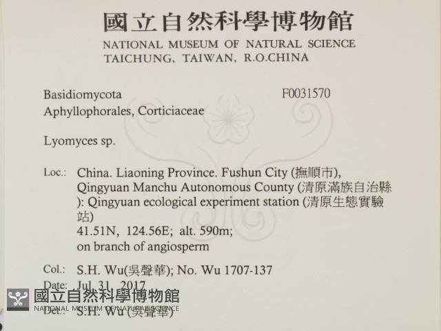 登錄號:F0031570藏品圖，第2張