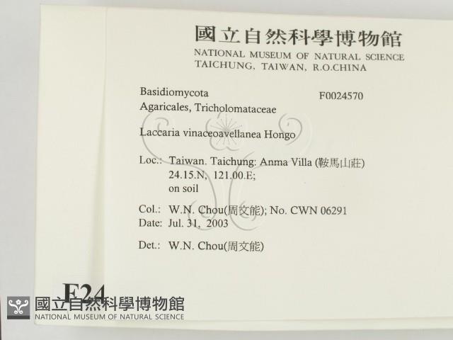 登錄號:F0024570藏品圖，第2張