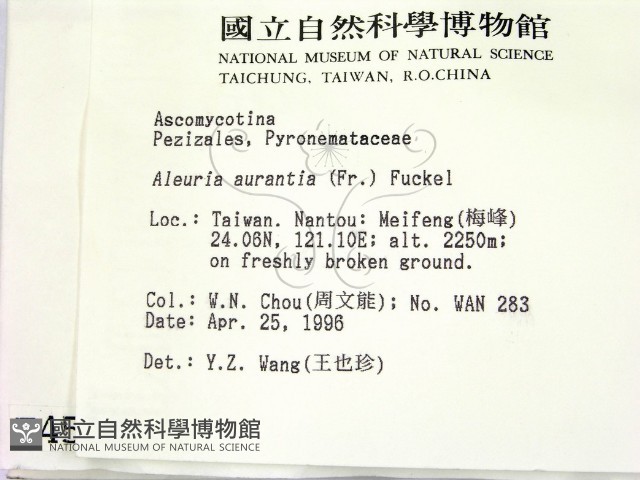 登錄號:F0004570藏品圖，第2張